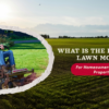 What Is the Best Riding Lawn Mower for Homeowners and Large Properties?